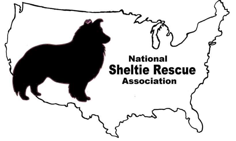Some NEWS on Sheltie Rescue – The BIG PICTURE