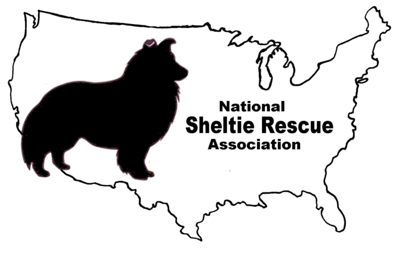 Some NEWS on Sheltie Rescue – The BIG PICTURE