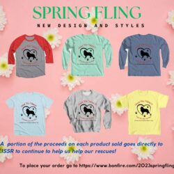 T-shirts for Spring