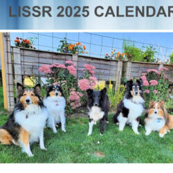 2025 Calendar