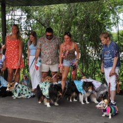 Bark and Brunch Photos Bark and Brunch Photos