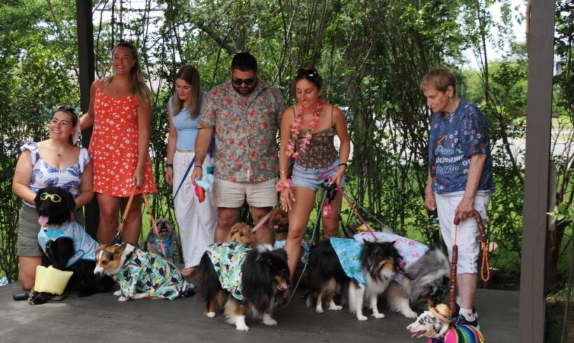 Bark and Brunch Photos Bark and Brunch Photos