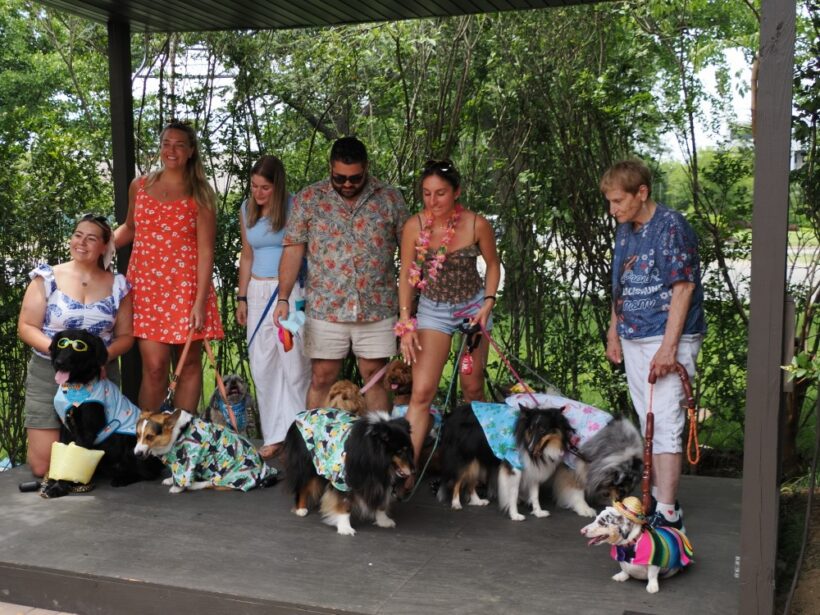 Bark and Brunch Photos
